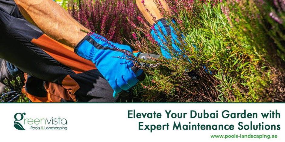 How to Maintain Your Pool